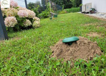 Élimination des taupes à Capbreton : faites appel à des experts