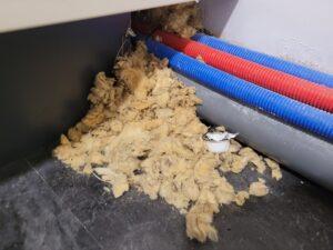 Signes d'infestation de rats dans une maison à Blanquefort (33)