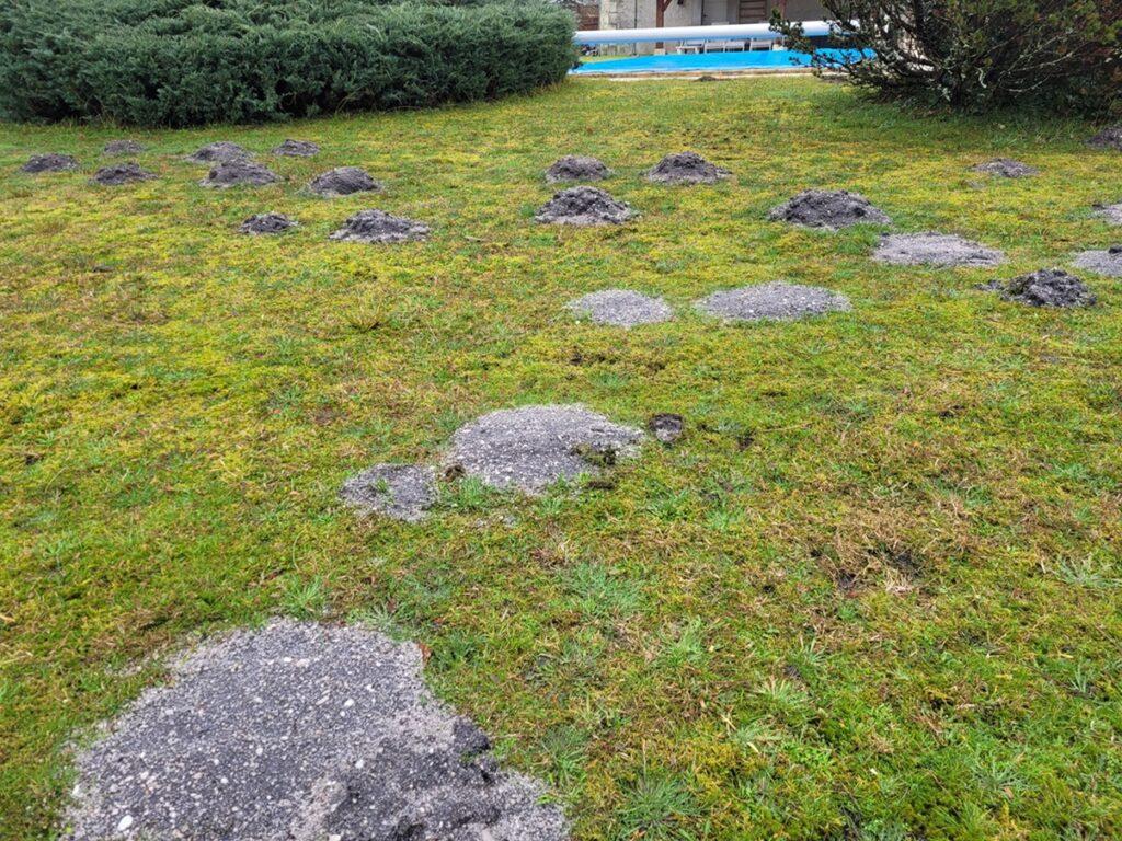 Se débarrasser des taupes sur le Bassin d'Arcachon (33)à