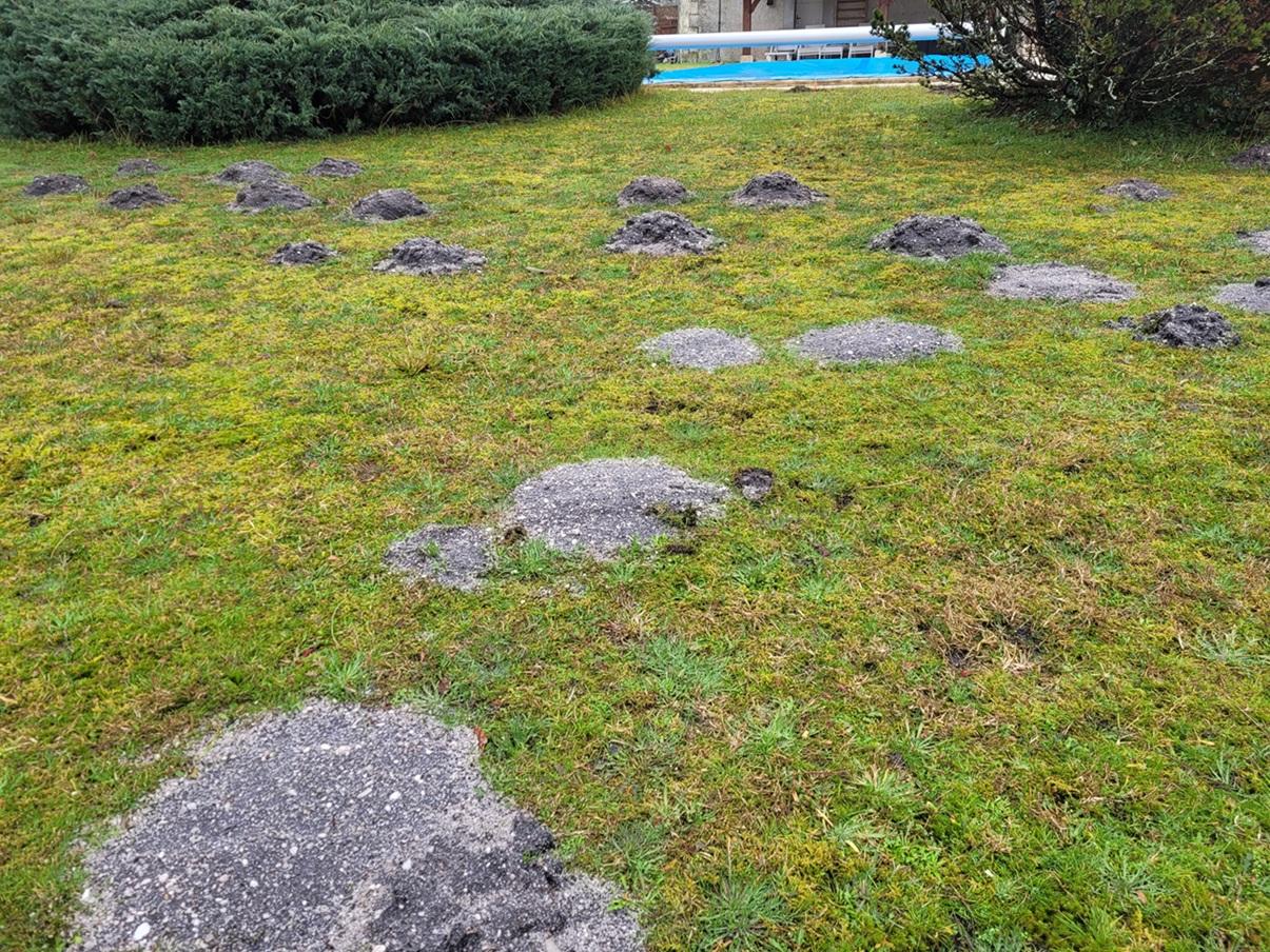 Se débarrasser des taupes sur le Bassin d'Arcachon (33)à