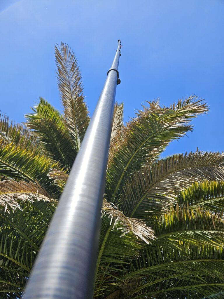 Inspection palmier par caméra à Anglet : Suivi et protection des palmiers