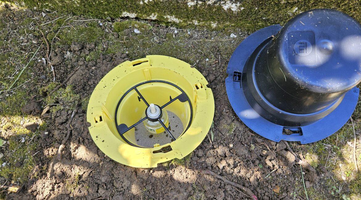 Pourquoi poser un piège à charançon à Bayonne, Biarritz, Anglet ou Capbreton ?