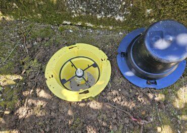 Piégeage du charançon rouge du palmier au Pays Basque (64)