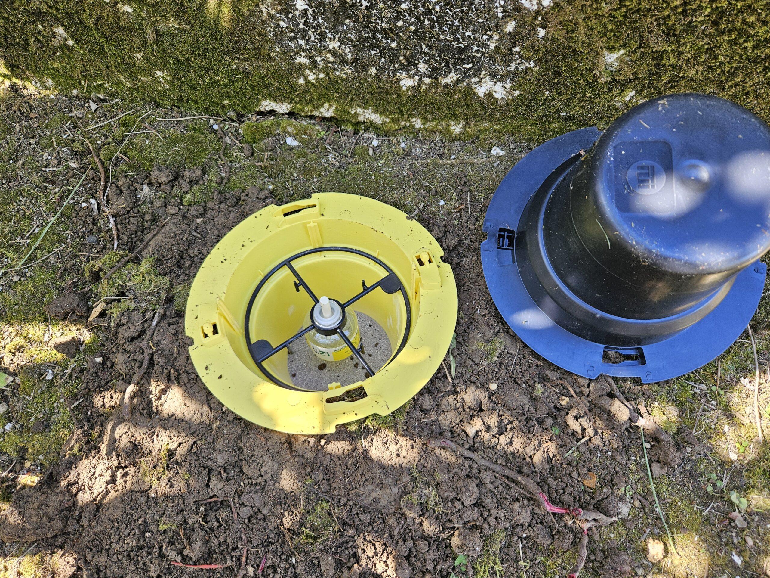 Pourquoi poser un piège à charançon à Bayonne, Biarritz, Anglet ou Capbreton ?